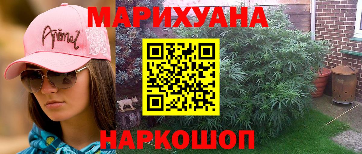 Бошки Шишки семена Кисловодск